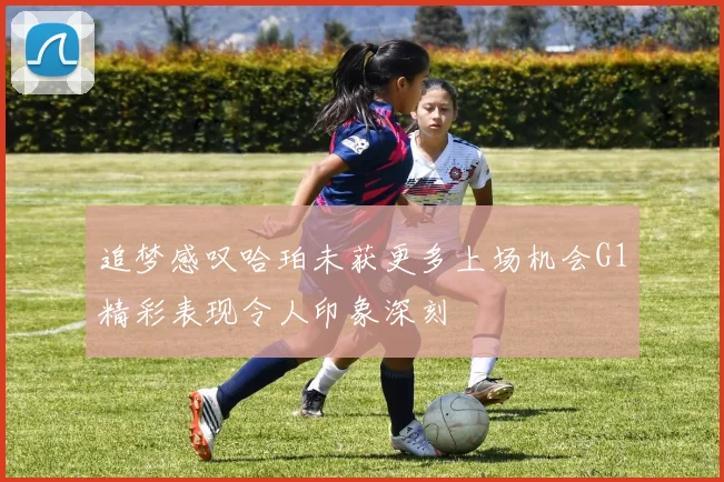 追梦感叹哈珀未获更多上场机会G1精彩表现令人印象深刻